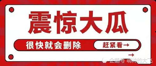 娱乐吃瓜八卦背景图,吃瓜群众背后的故事