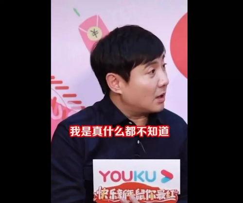 娱乐吃瓜叔叔小说,揭秘娱乐圈背后的秘密与八卦